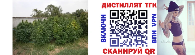 ТГК Wax Кириллов
